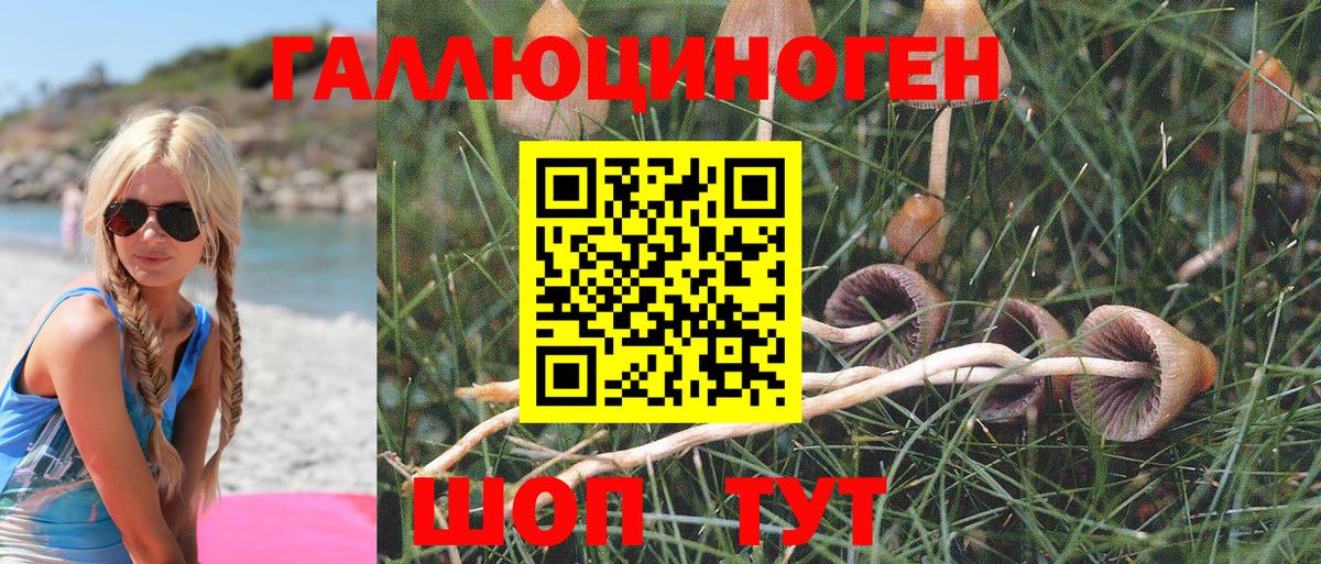 Астрахань  Галлюциногенные грибы Psilocybe  Псилоцибиновые грибы Magic Shrooms  Вход с VPN 